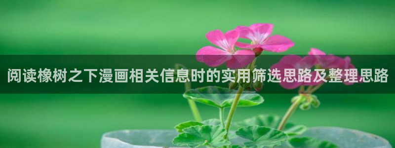 漫画免费看漫画大全在线:阅读橡树之下漫画相关信息时的实用筛选思路及整理思路