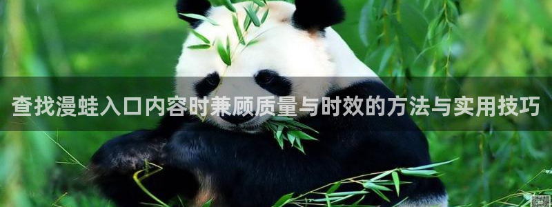 漫画免费看网站导航：查找漫蛙入口内容时兼顾质量与时效的方法与实用技巧